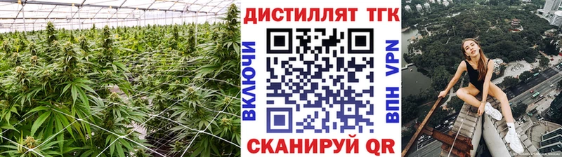 Дистиллят ТГК Wax  Дыгулыбгей 