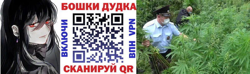 Бошки Шишки MAZAR  как найти   Дыгулыбгей 